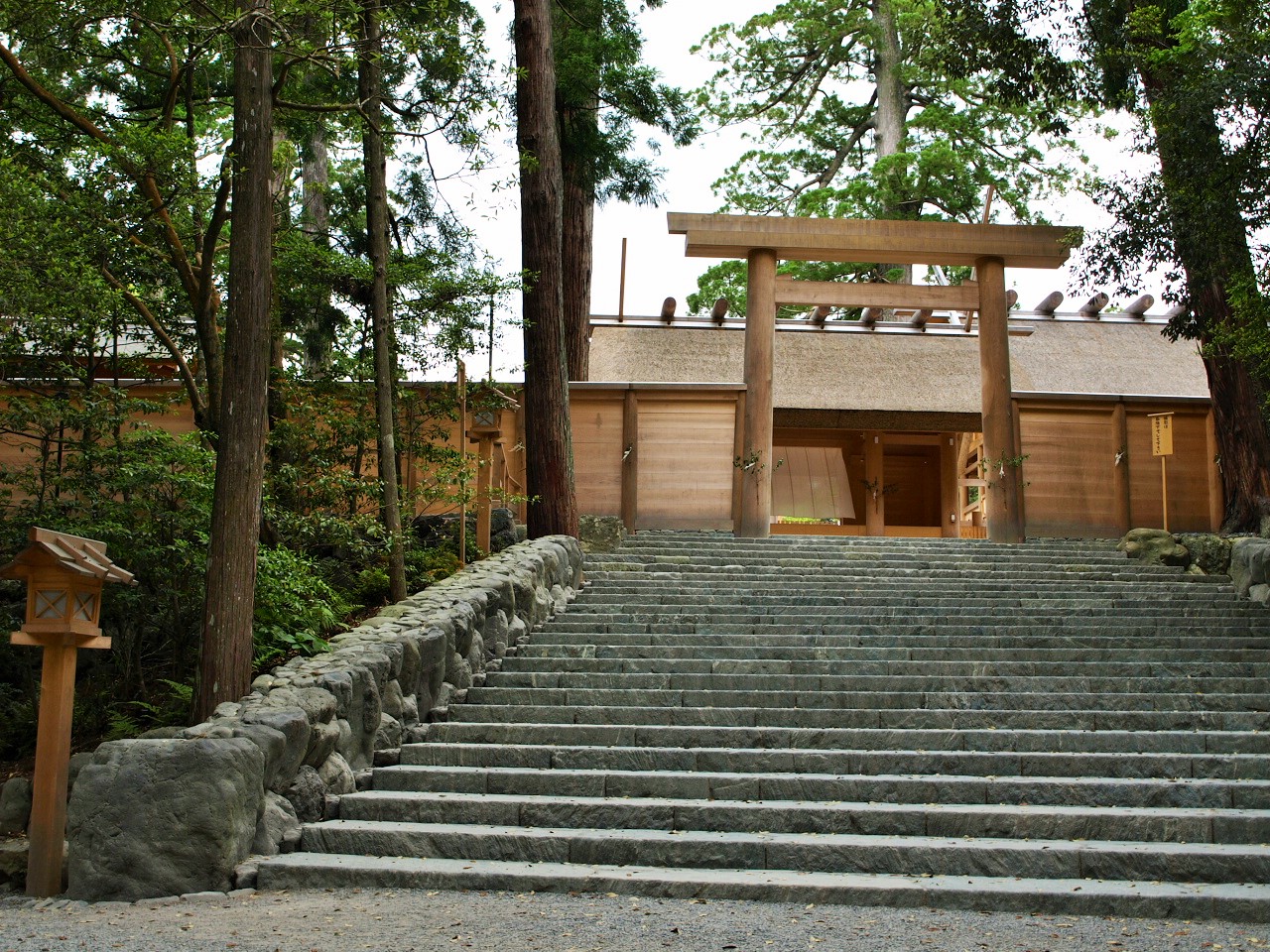 株式会社ステラ